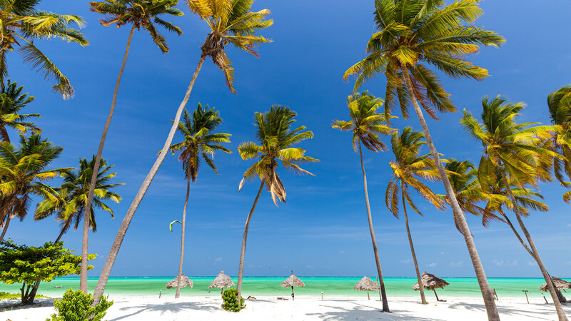 Zanzibar, strand med palmer